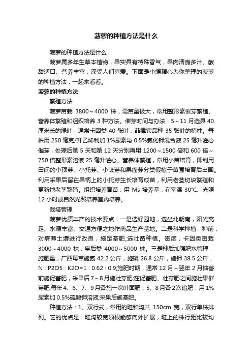菠萝的种植方法是什么