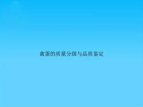 禽蛋的质量分级与品质鉴定