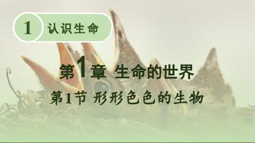 北师大版七年级生物上册《形形色色的生物》PPT课件