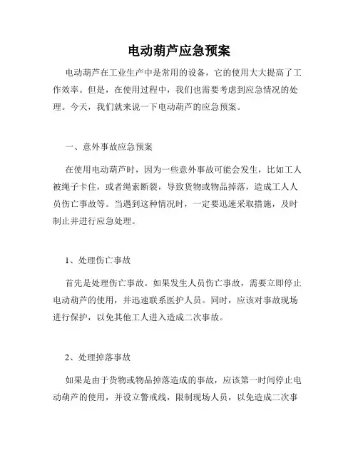 电动葫芦应急预案