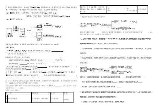 碱石灰实验探究