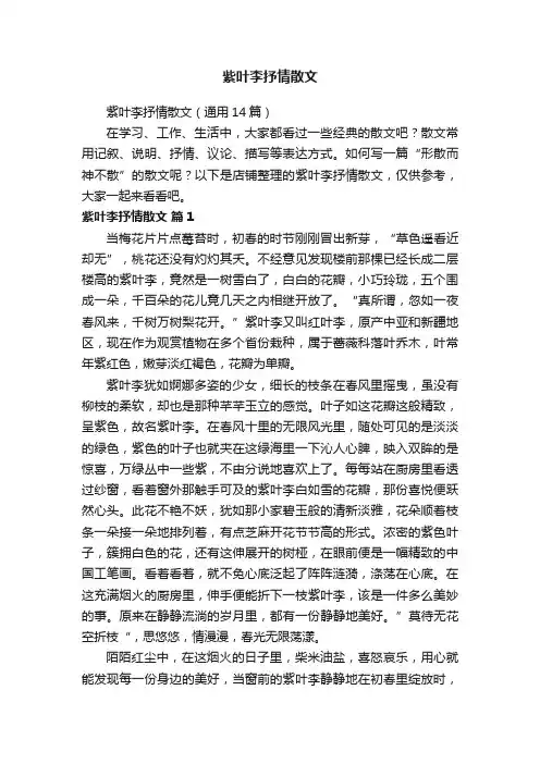 紫叶李抒情散文
