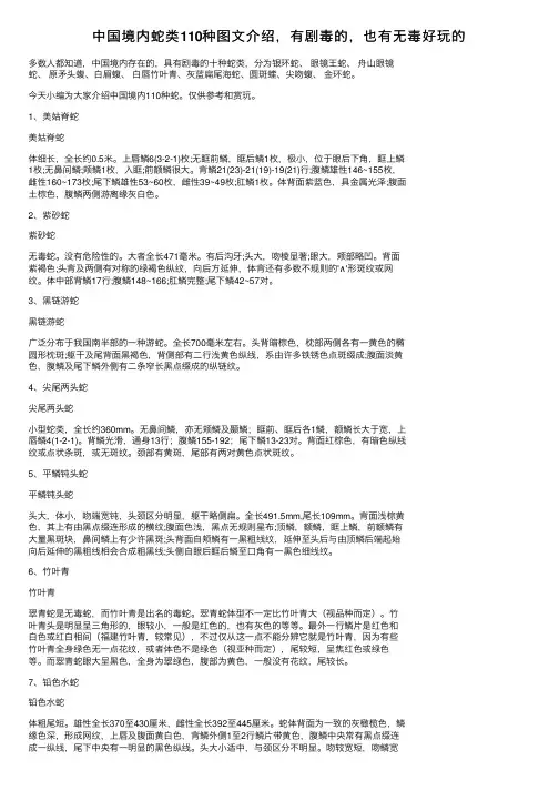 中国境内蛇类110种图文介绍，有剧毒的，也有无毒好玩的
