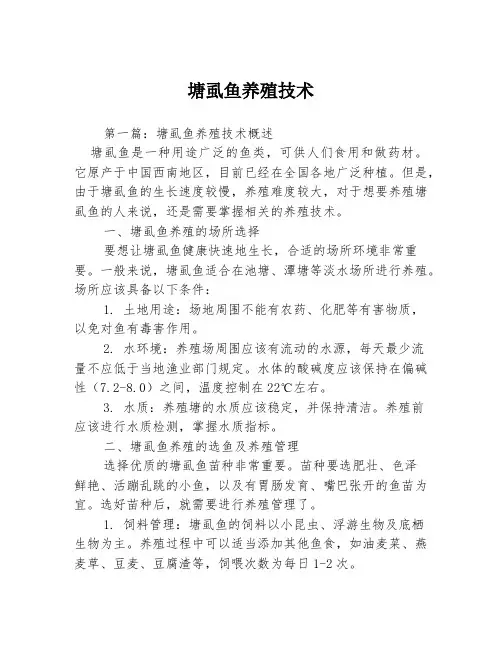 塘虱鱼养殖技术