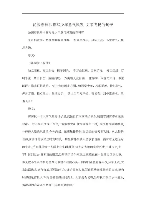 沁园春长沙描写少年意气风发 文采飞扬的句子