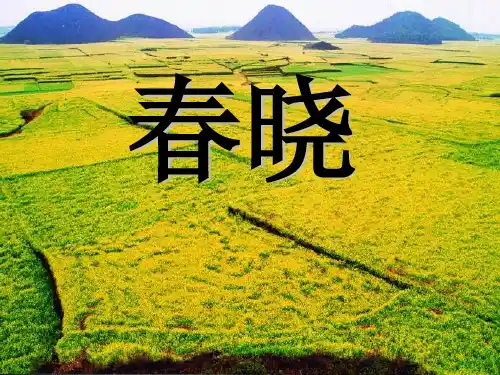 人教版部编版一年级下册语文 《春晓》PPT教学课件