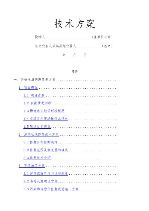 污染土壤修复工程技术标