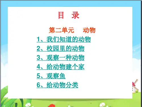 部编小学科学一年级全册课件2
