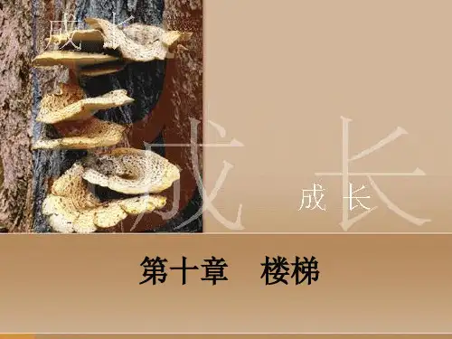 房屋建筑学课件经典课件第10讲——楼梯