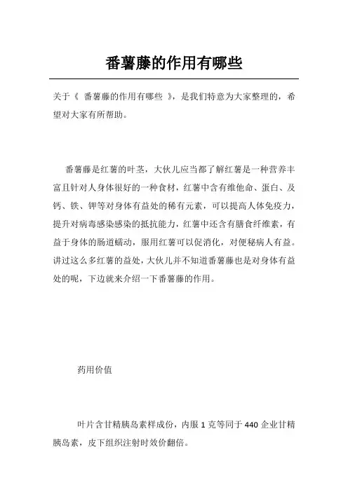 番薯藤的作用有哪些