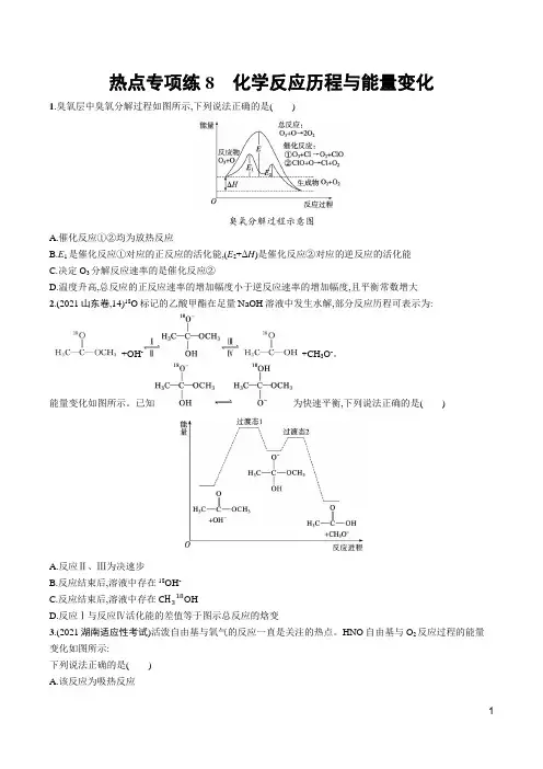 2022年人教版高考化学一轮考点复习 热点专项练8 化学反应历程与能量变化