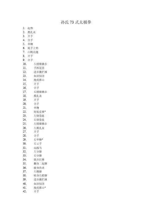孙氏73式太极拳拳谱