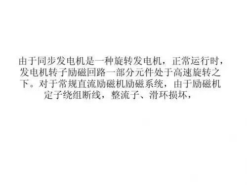 关于发电机防止失磁的方案探讨