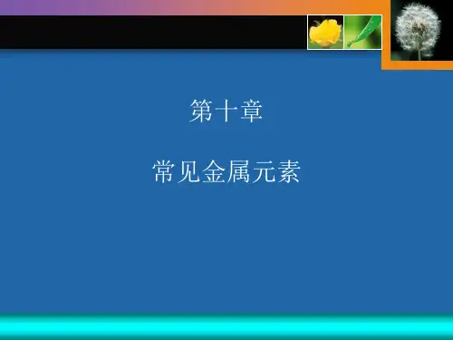 10常见金属元素