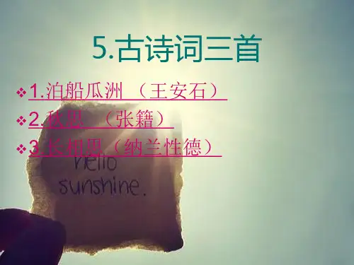 人教版五年级上册语文《古诗词三首》3