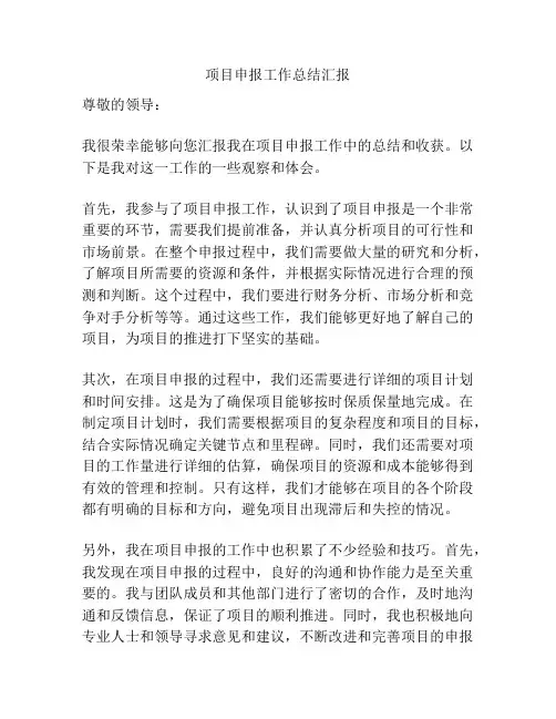 项目申报工作总结汇报