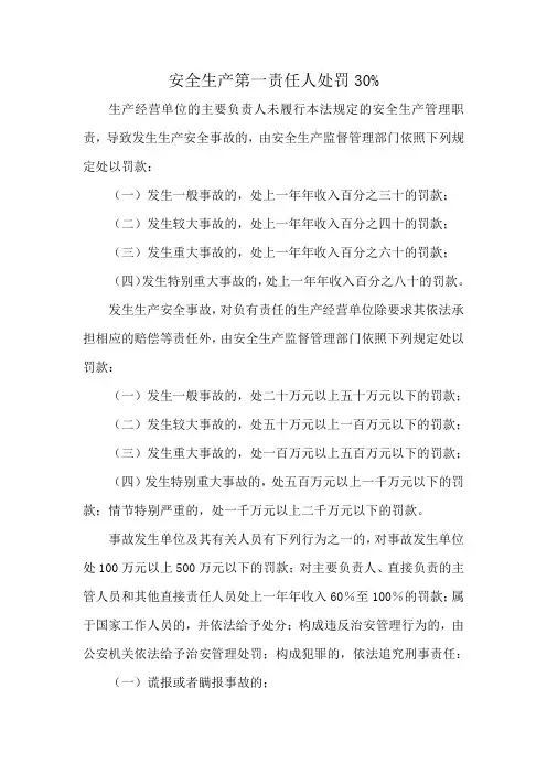 安全生产第一责任人处罚30%