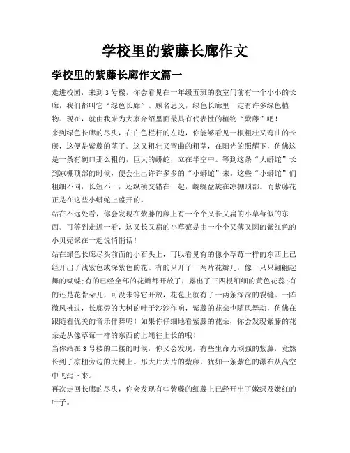学校里的紫藤长廊作文