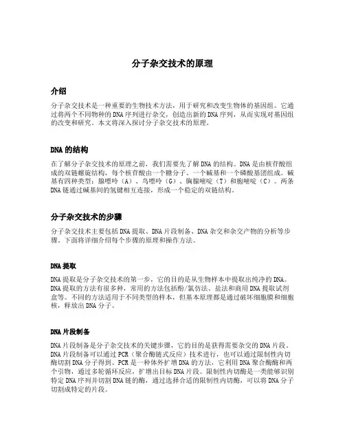 分子杂交技术的原理