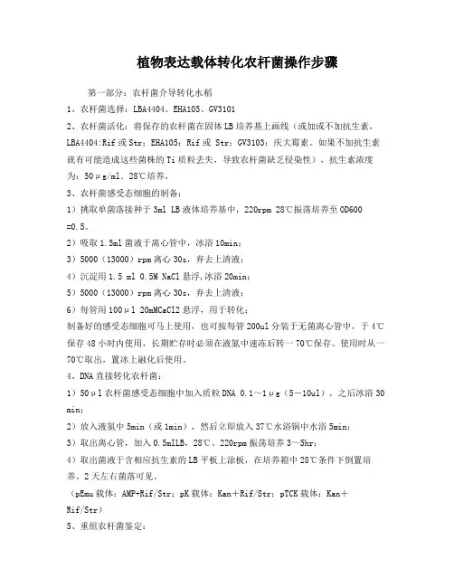 植物表达载体转化农杆菌操作步骤
