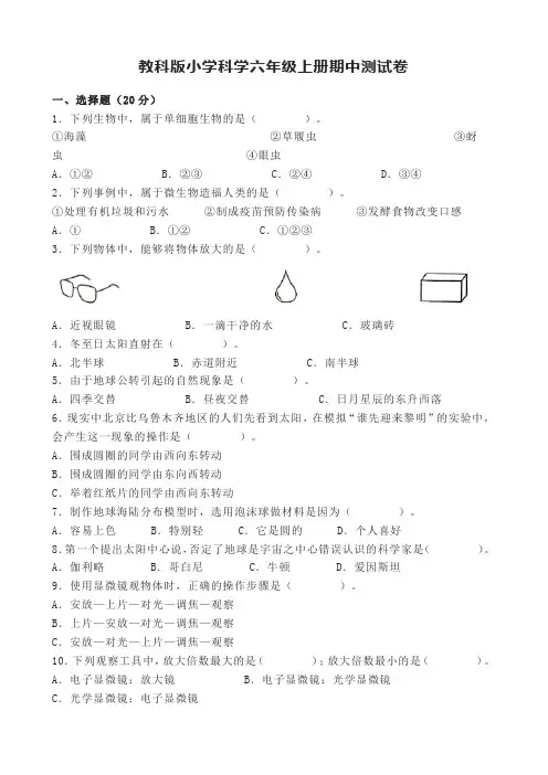 新教科版六年级上册科学试题--期中测试卷(2)