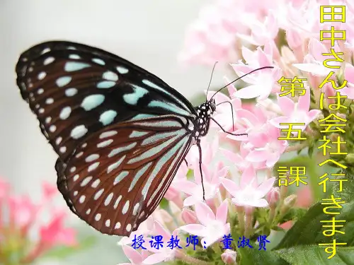 标准日本语第五课自学必用