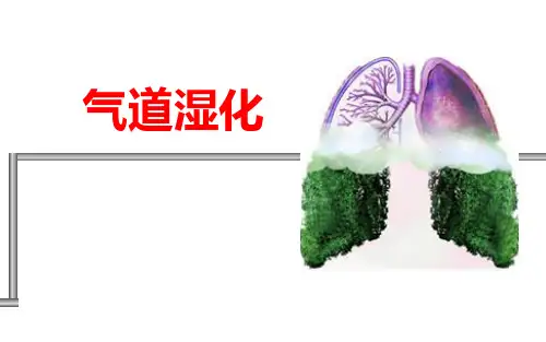气道湿化课件