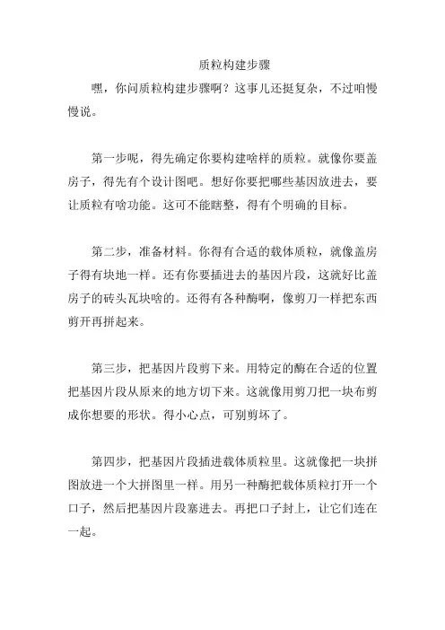质粒构建步骤