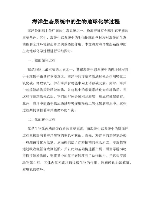 海洋生态系统中的生物地球化学过程