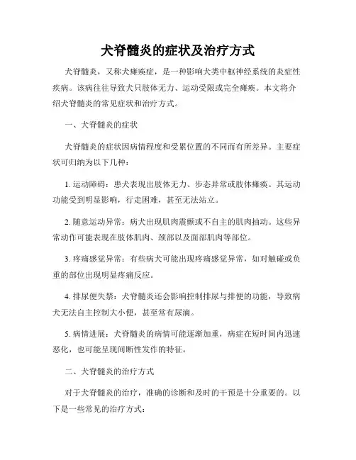 犬脊髓炎的症状及治疗方式
