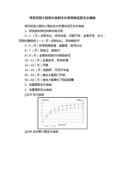 常见实验大鼠和小鼠的生长发育体征及生长曲线
