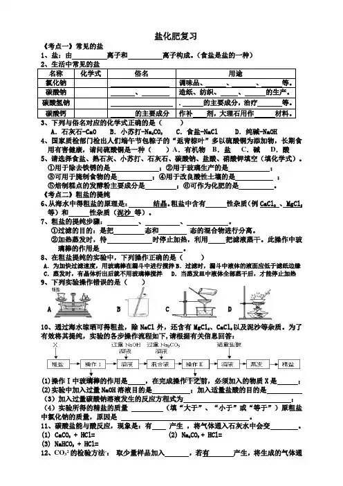 盐-化肥复习