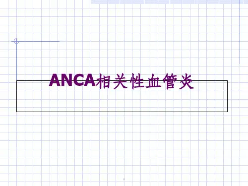 ANCA相关性血管炎ppt课件