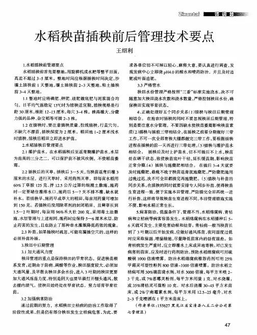 水稻秧苗插秧前后管理技术要点
