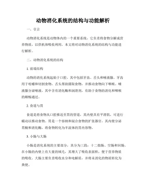 动物消化系统的结构与功能解析
