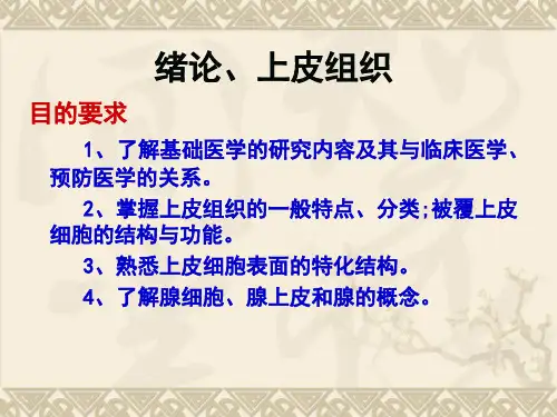 绪论和上皮组织课件