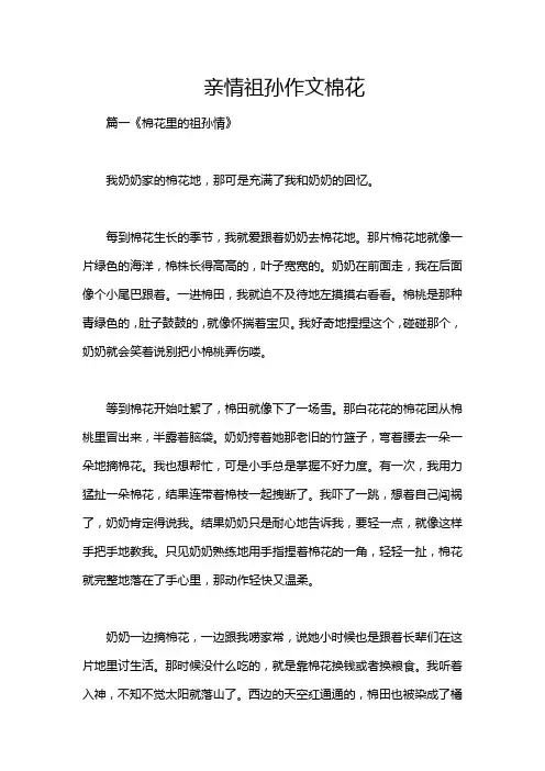 亲情祖孙作文棉花