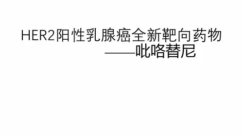 吡咯替尼科室会.ppt