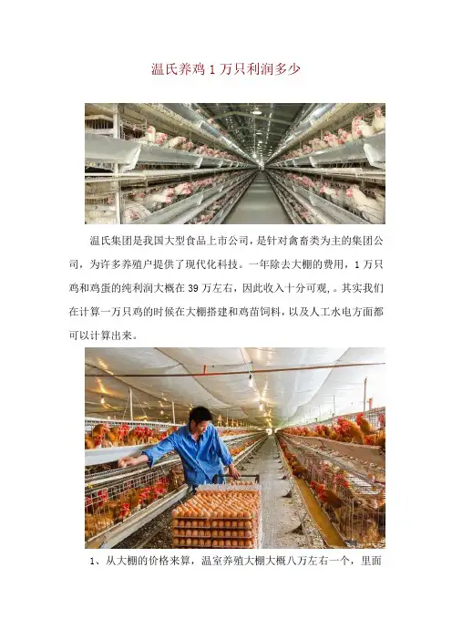 温氏养鸡1万只利润多少
