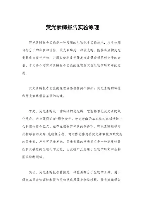 荧光素酶报告实验原理