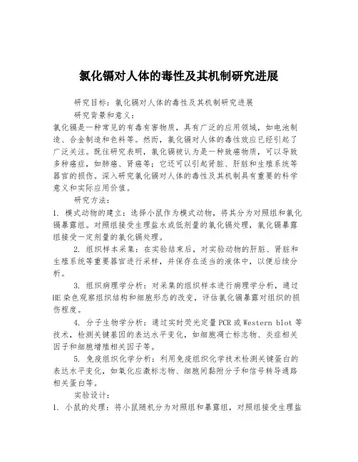 氯化镉对人体的毒性及其机制研究进展