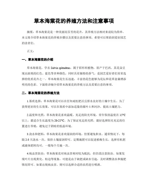 草本海棠花的养殖方法和注意事项