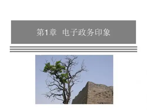 电子政务导论第1章  电子政务印象