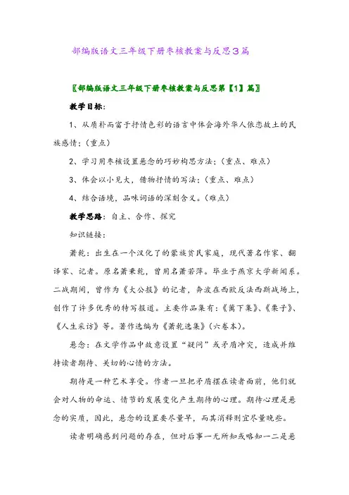 2024年部编版语文三年级下册枣核教案与反思3篇