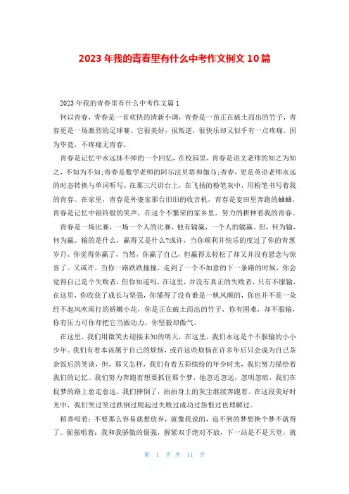 2023年我的青春里有什么中考作文例文10篇