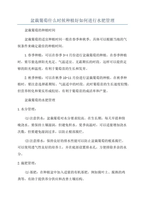 盆栽葡萄什么时候种植好如何进行水肥管理