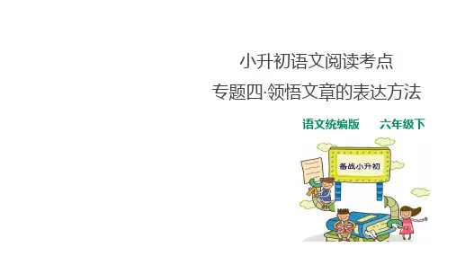 小升初语文阅读考点 专题四 领悟文章的表达方法  课件 人教统编版