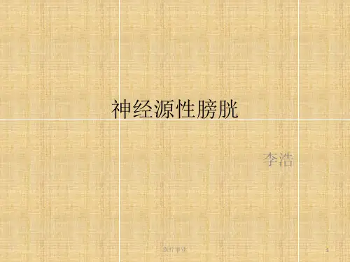 神经源性膀胱(医术材料)