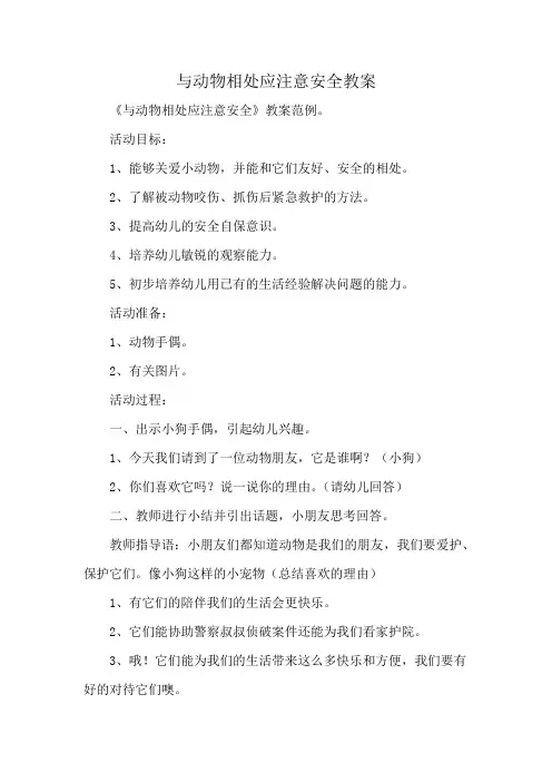 与动物相处应注意安全教案