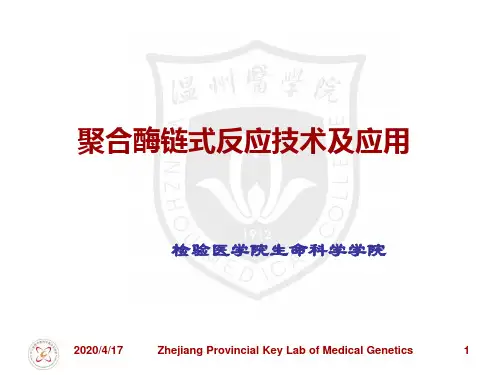 分子生物学PCR技术课件